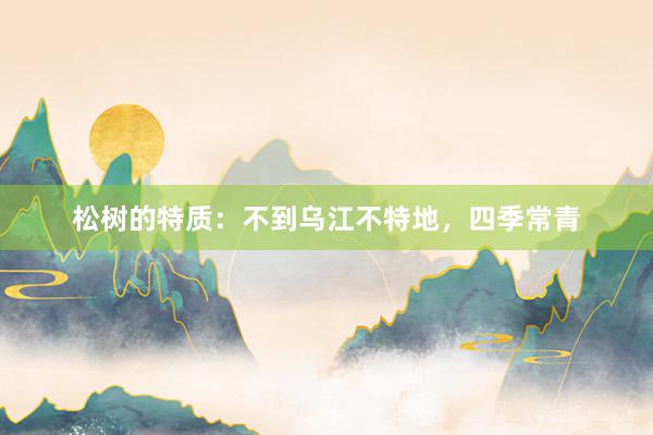 松树的特质：不到乌江不特地，四季常青