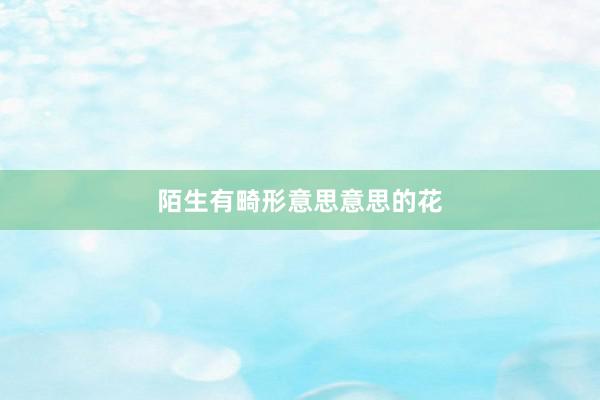 陌生有畸形意思意思的花